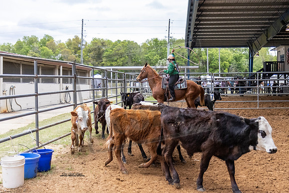 Horse Show #19