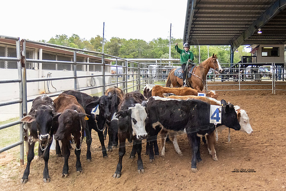 Horse Show #22