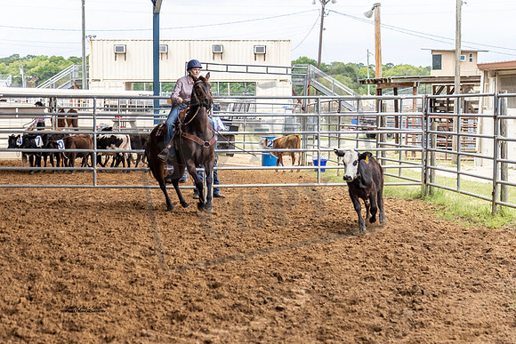Horse Show #25