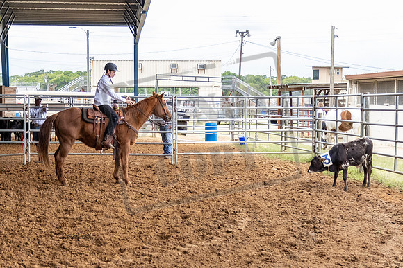 Horse Show #23