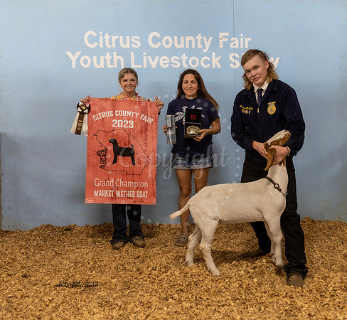 Grand Champion Wether