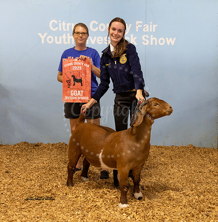 Jr Doe Div Winner