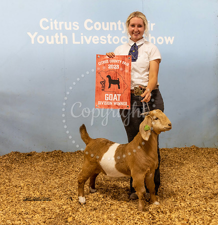 Jr Buck Div Winner