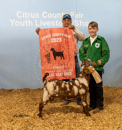 Overall Buck Resv Grand Champion