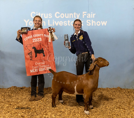 Overall Doe Grand Champion
