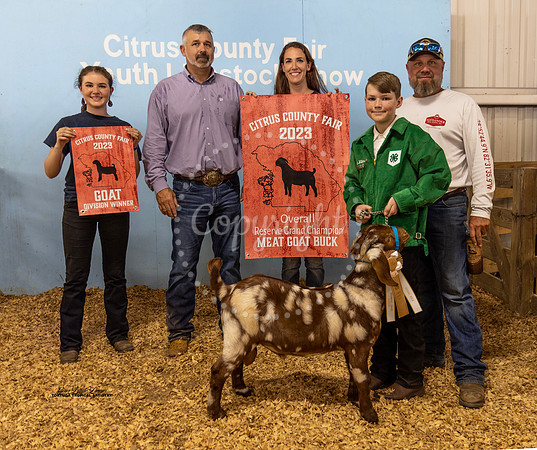 Overall Buck Resv Grand Champion Photo 2