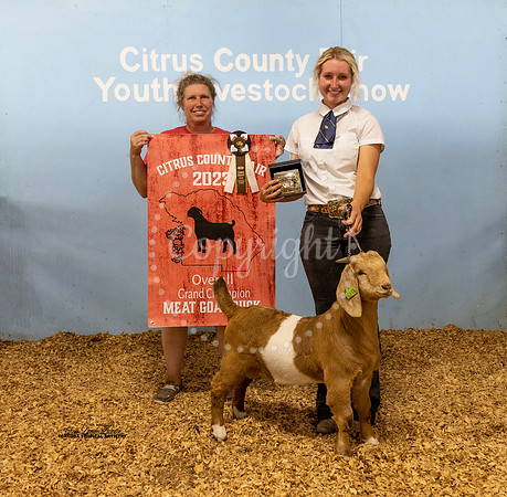 Overall Buck Grand Champion