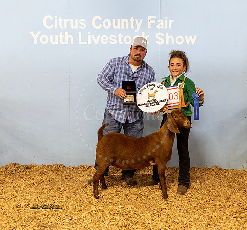 Jr Showmanship