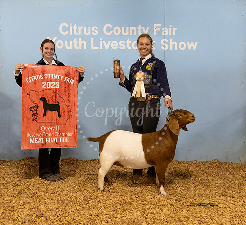 Overall Doe Reserve Grand Champion