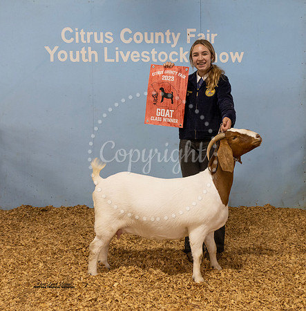 Sr Breeding Doe Class 8
