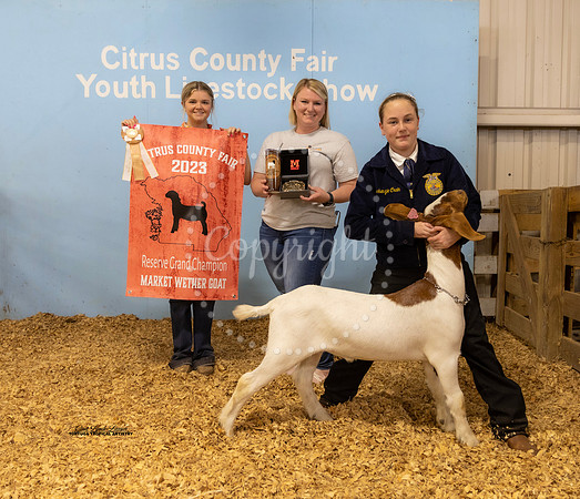 Resv Grand Champion Wether