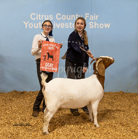 Sr Doe Div Winner