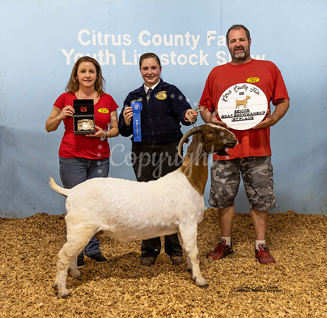 Sr Showmanship