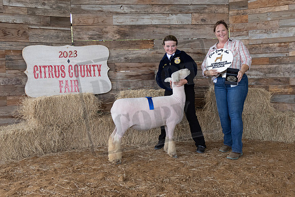 Int Showmanship Photo #2