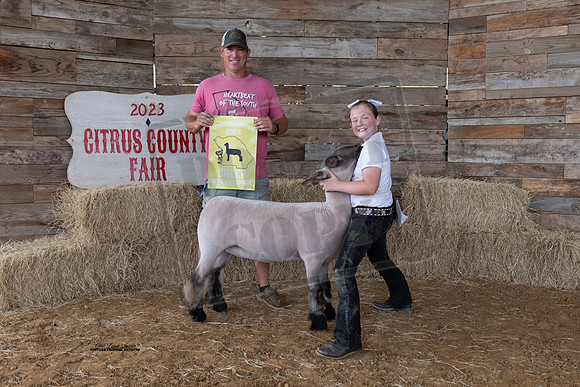 Div Winner All Other Breed Ewe