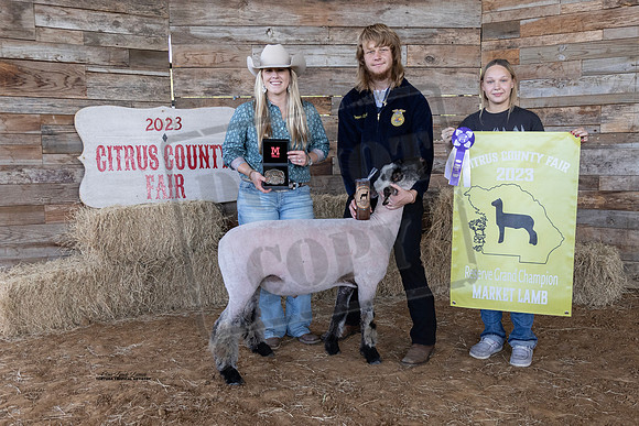 Reserve Grand Champion Youth Market Lamb