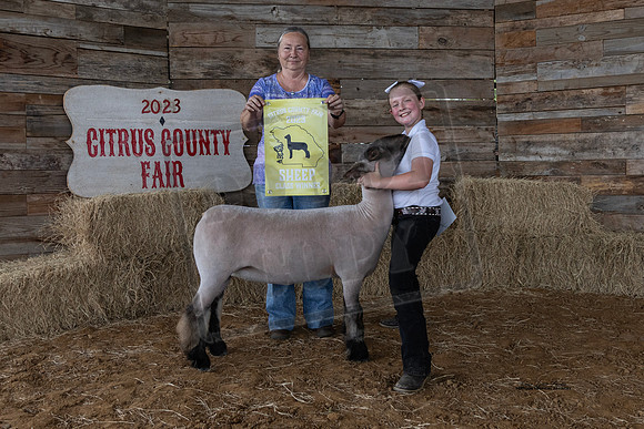 Wool Class 1 All Other Breed Ewe