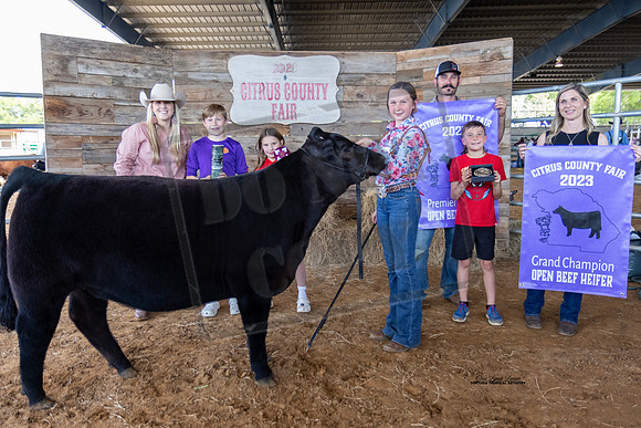 Grand Champion Open Beef Heifer