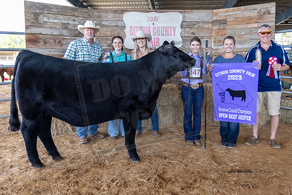 Resv Grand Champion Open Beef Heifer