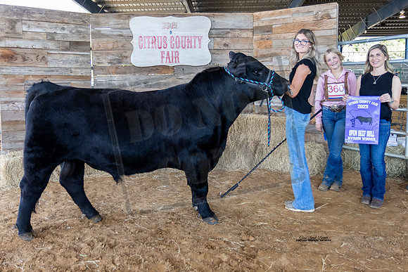 Bull Class 3