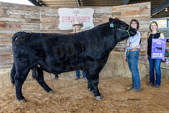 Bull Class 4