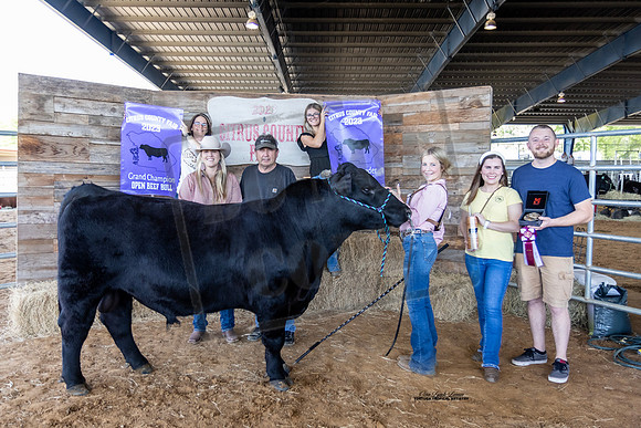 Premier Breeder Open Bull