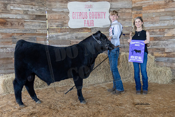 Bull Class 1