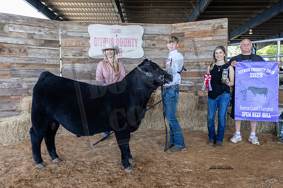 Resv Grand Champ Open Beef Bull