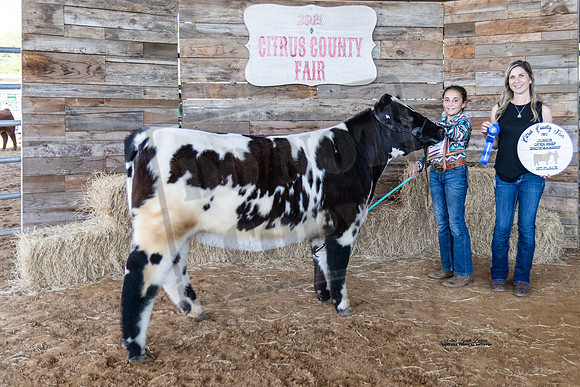 Open Beef Jr Showmanship