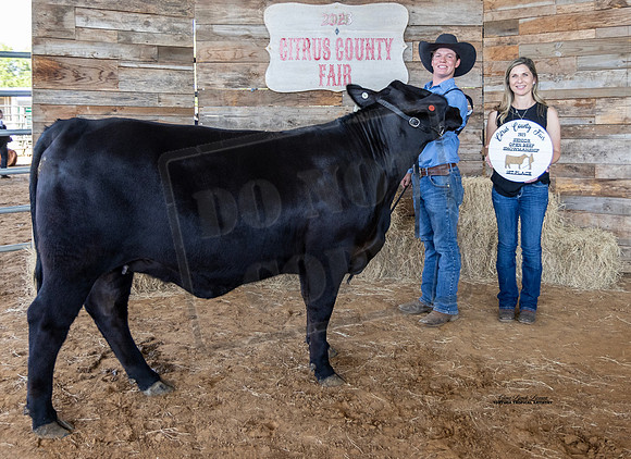 Open Beef Sr Showmanship