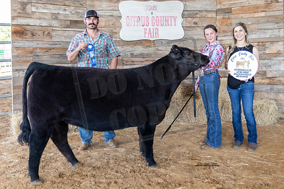 Open Beef Int Showmanship