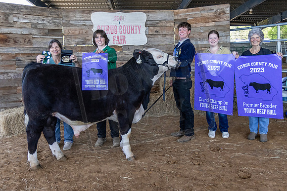 Youth Beef Bull Class 1