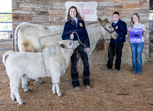 Youth Beef Cow Class 7