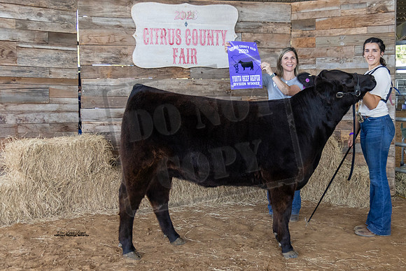 Youth Beef Heifer Class 3