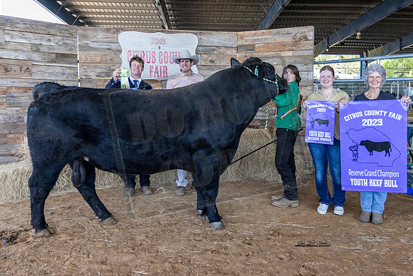Youth Beef Bull Class 3