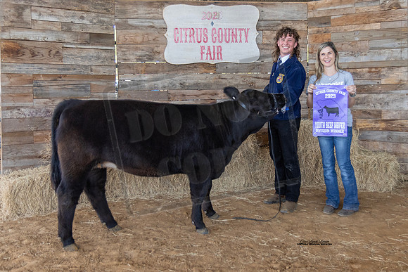 Youth Beef Heifer Class 2