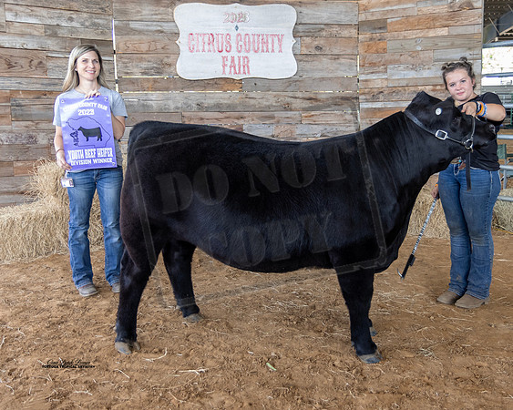 Youth Beef Heifer Class 4