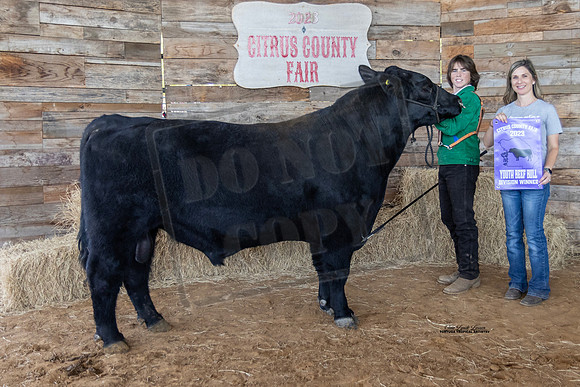 Youth Beef Bull Class 2
