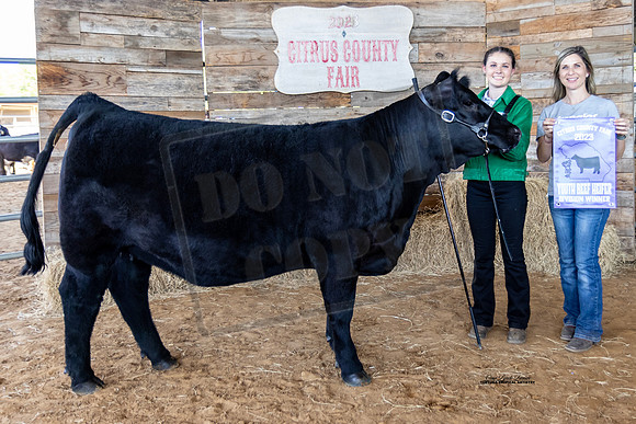 Youth Beef Heifer Class 6