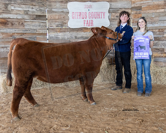 Youth Beef Heifer Class 5