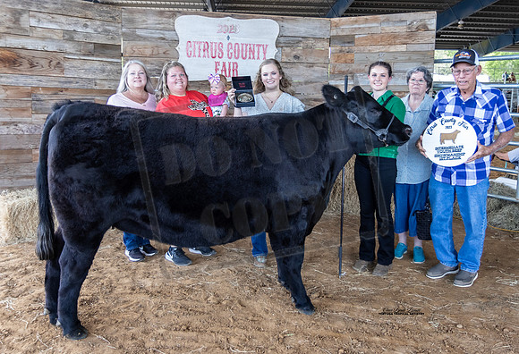 Youth Beef Int Showmanship