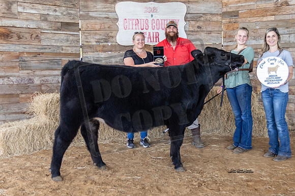 Youth Beef Sr Showmanship