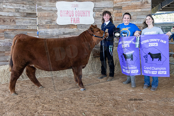Youth Beef Grand Champion Heifer