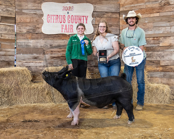 Sr Showmanship Swine