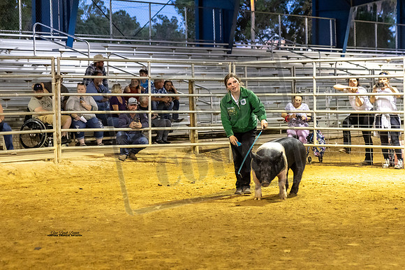Swine Showmanship 4