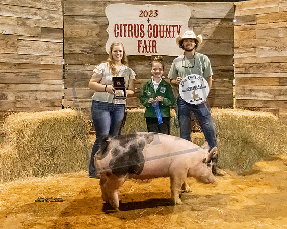 Int Showmanship Swine