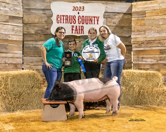 Jr Showmanship Swine