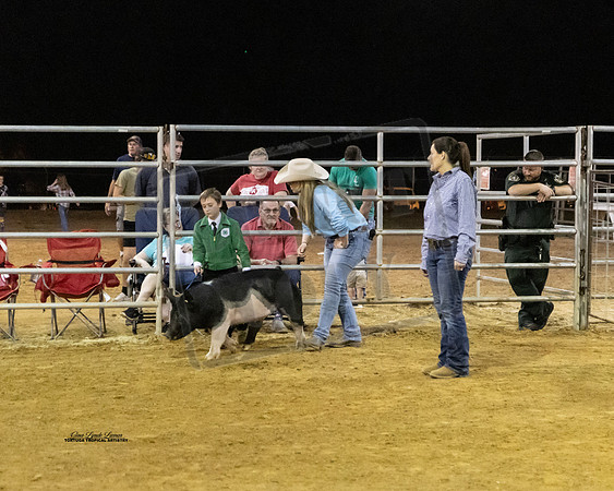 Swine Showmanship 9