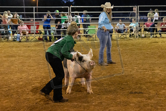 Swine Showmanship 6