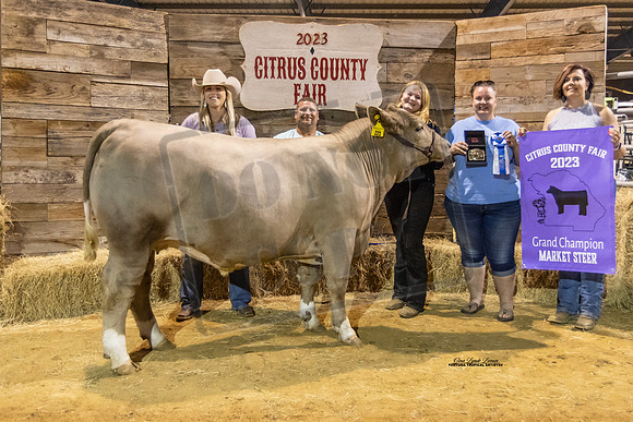 Grand Champion Market Steer